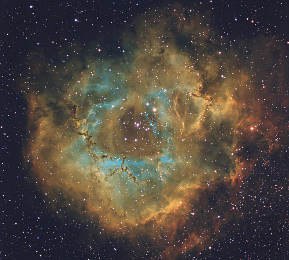 Rosette Nebula's Colorful Bloom Shines in Gorgeous Amateur Astronomer Photo